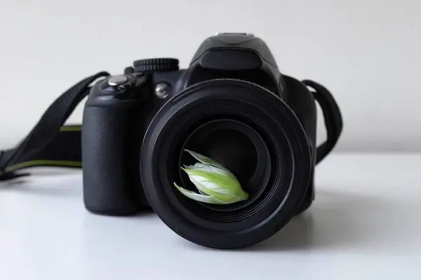 Lens ile profesyonel fotoğraf makinesi