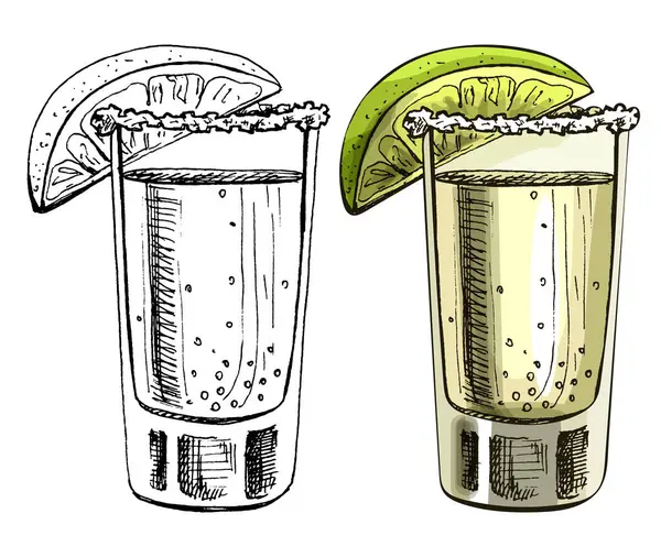 Tequila Vidro Com Limão Fatia Cor Eclosão Vintage Vetorial Ilustração Ilustração De Bancos De Imagens
