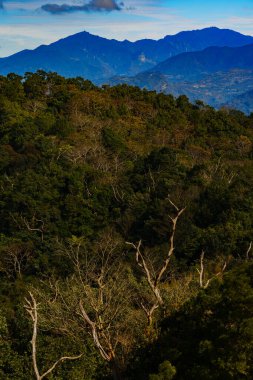 The beautiful azure mountains behind the flush forest