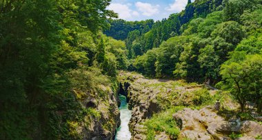 Berrak ve çalkantılı nehir ormanın derinliklerindeki kanyondan geçiyor.