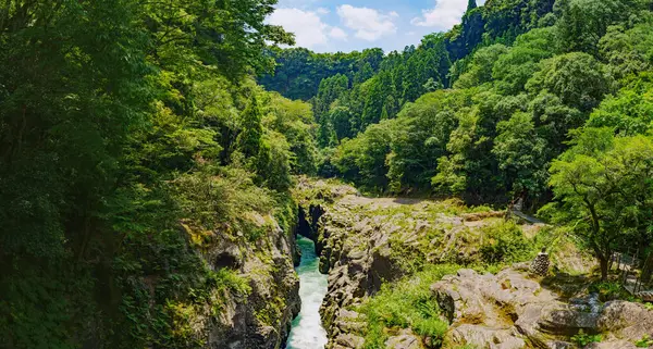 Berrak ve çalkantılı nehir ormanın derinliklerindeki kanyondan geçiyor.