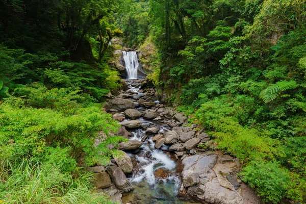 Der Wasserfall Kommt Aus Der Mitte Des Waldes Und Bringt — Stockfoto