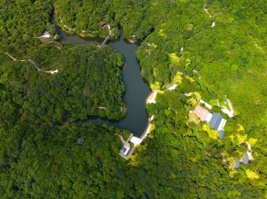 Göl allık ormanlarıyla çevrili.