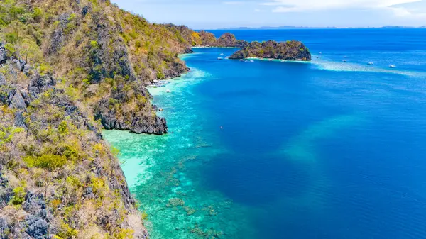 Mercan resifi ekosistemleri açısından zengin berrak su