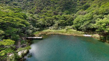 Tahta bir sahil yolu yeşil ormanla gölü birbirine bağlar.
