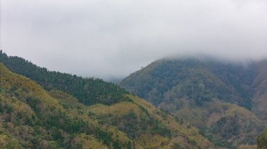 Pusla sarmalanmış Dağlar Tablosu