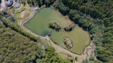 Ormanın Kucakladığı Bir Göl