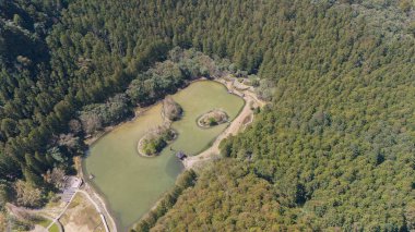 Zümrüt Ormanı 'nda Sakin Bir Göl