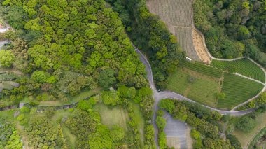 Yoğun ormanların ve manikürlü tarlaların tek bir yola bölündüğü yerde.