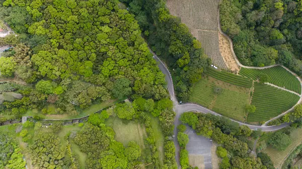 Yoğun ormanların ve manikürlü tarlaların tek bir yola bölündüğü yerde.
