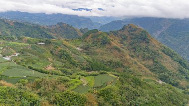 Dağ tarlalarının havadan görünüşü, yemyeşil çay tarlaları, teraslı tarlalar, ve uzaktaki sis kaplı zirveler.