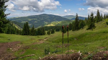 Fotoğraf yeşil bir tepenin üzerine yerleştirilmiş yürüyüş direkleri açık çim tarlaları ve arka planda ormanlı tepeler gösteriyor.