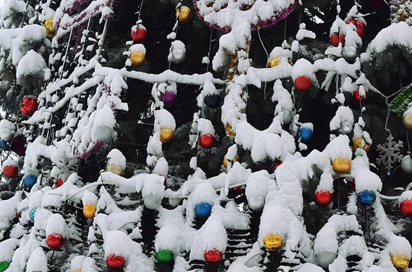 Städtisch Geschmückter Weihnachtsbaum Nach Schneefall Aus Nächster Nähe — Stockfoto