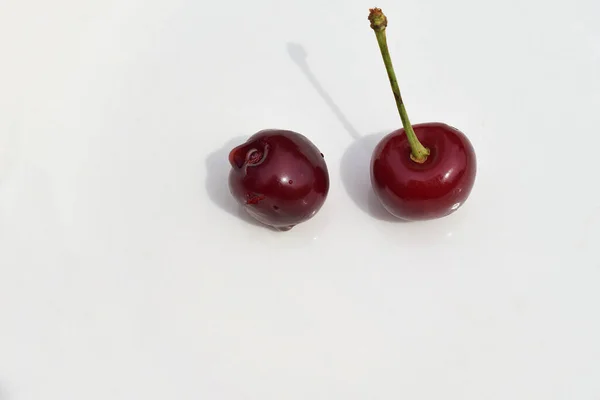 两个成熟的樱桃在白色的背景上在阳光下的特写 饮食食品的概念 — 图库照片