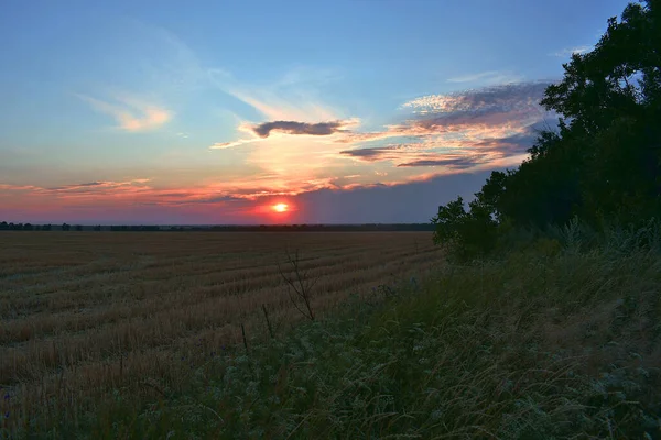Stoppelfeldlandschaft Mit Trockenem Stroh Nach Sonnenuntergang — Stockfoto