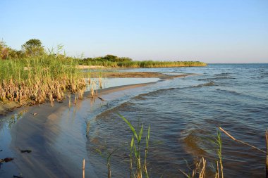 Manzara. Fırtına sırasında dalgalı bir kıyı şeridinde kum tepesi.