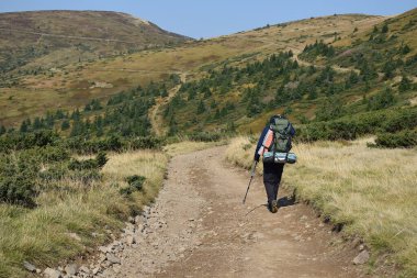 Bir adam İskandinav teleskopik direkleriyle dağ yolunda yürüyor..