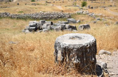 Antik Hierapolis (Türkiye) topraklarındaki bir sütunun parçası).