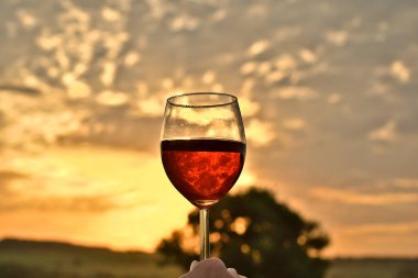 Batan güneşe karşı bir kadeh kırmızı şarap..