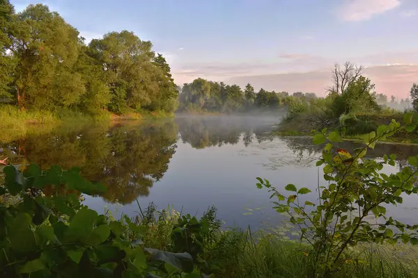 Ormanda bir sabah, nehrin üzerinde hafif bir sis ve ufukta çavdar bulutları..