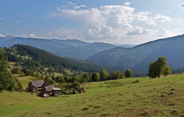 Karpat Dağları 'nda küçük bir dağ çiftliği (Ukrayna).