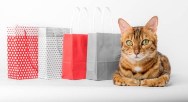 Beyaz arka planda izole edilmiş kağıt torbalı Bengal kedisi.