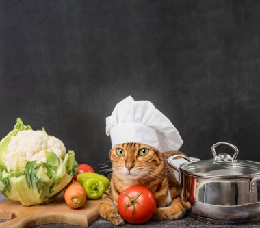 Koyu arkaplanlı ve sebzeli bir şef kedi. Boşluğu kopyala.