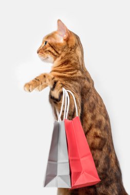 Zencefilli kedi beyaz arka planda kağıt poşetler tutuyor. Dikey çekim.