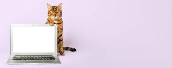 Cat in a shirt and tie with a laptop on the background. Copy space.