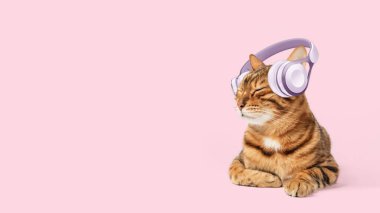 Pembe arka planda kulaklıklı sevimli kızıl kedi, uzay afişini kopyala ya da kapalı gözlerle müzik dinle