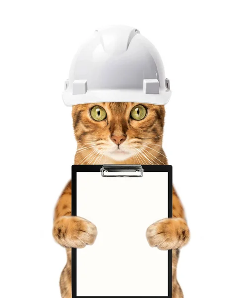 stock image Cat architect in a white helmet and with a clipboard, isolated on a white background.