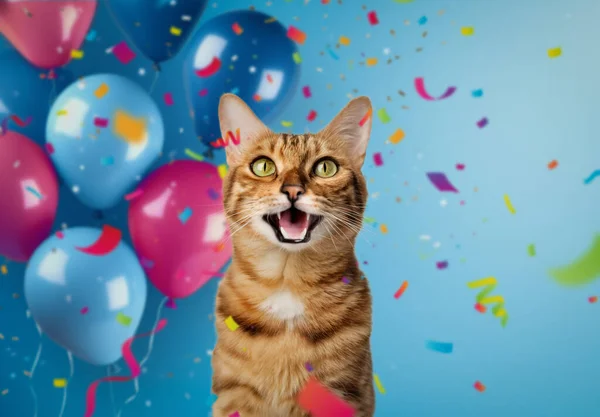 Lustiges Porträt Einer Glücklich Lächelnden Bengalkatze Auf Festlichem Hintergrund Mit Stockbild