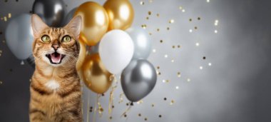 Balonlar ve konfetilerle dolu neşeli bir arka planda gülümseyen Bengal kedisinin komik portresi. Bir kedinin doğum günü veya yeni yıl için neşeli bir geçmişi var..