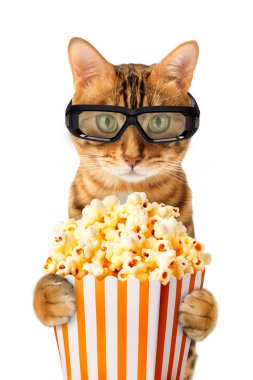 Üç boyutlu müzik seti gözlüklü komik Bengal kedisi sinemada beyaz arka planda patlamış mısır yiyor..