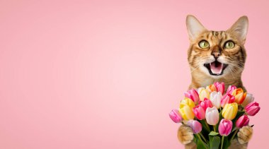 Doğum günü için bir buket lale taşıyan mutlu kedi, anneler günü. Pembe arka planda çiçekli bir kedi. Boşluğu kopyala.