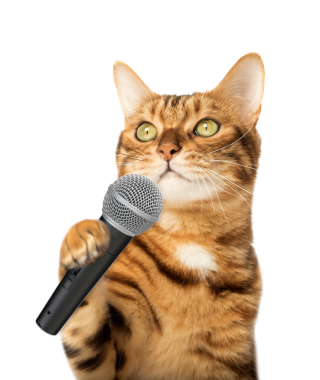 Mikrofon tutan sevimli bir kedi yavrusu.