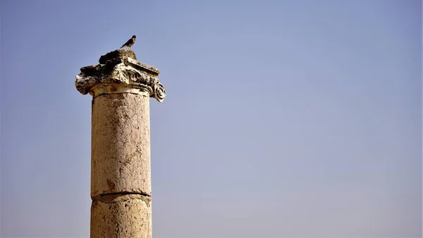 Coluna Pedra Antiga Pássaro Contra Céu — Fotografia de Stock
