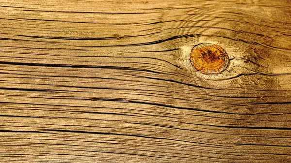 raw wood texture as a background