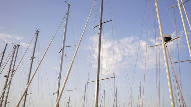 Limandaki eğlence amaçlı yelkenlilerin direkleri