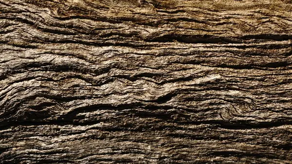 Cypressen Boomschors Als Achtergrond Stockfoto