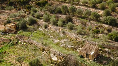 Dağ yamacındaki kırsal ağaç çiftliğinin havadan görünüşü