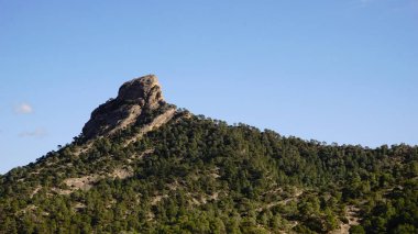 ağaçlar mavi gökyüzü ile dağ