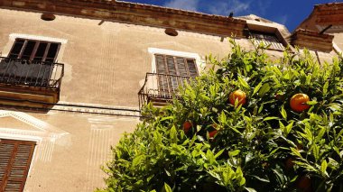 Düşük açılı, kırsal kesimde bir ev, ağaçla çevrili.