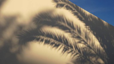 Palmiye yaprağının beyaz duvarında...