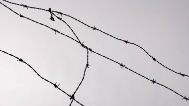 Gökyüzüne karşı dikenli tel örgü.