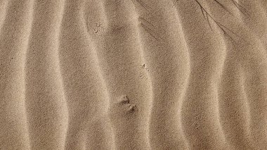 arkaplan olarak dalgalı kum