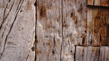 arka plan olarak eski orman