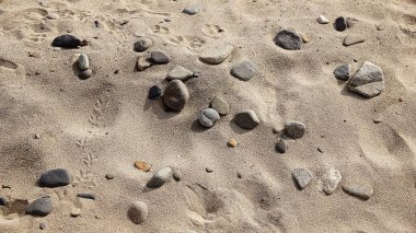 Arka plan olarak kumsaldaki çakıl taşları.