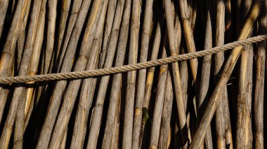 Arkaplan olarak kuru sazlıklar