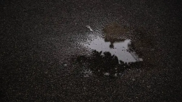 Sokağın asfalt birikintisindeki yansıma